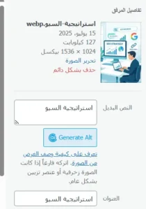 السيو الداخلي 